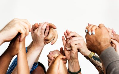 closeup-diverse-people-holding-hands_53876-47126